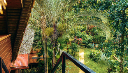 Costa Rica to Casa Botanica travel guide with tropical garden view