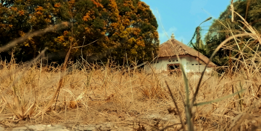 Dry season landscape with tropical hut