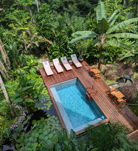 Casa Botanica saltwater pool surrounded by tropical Island