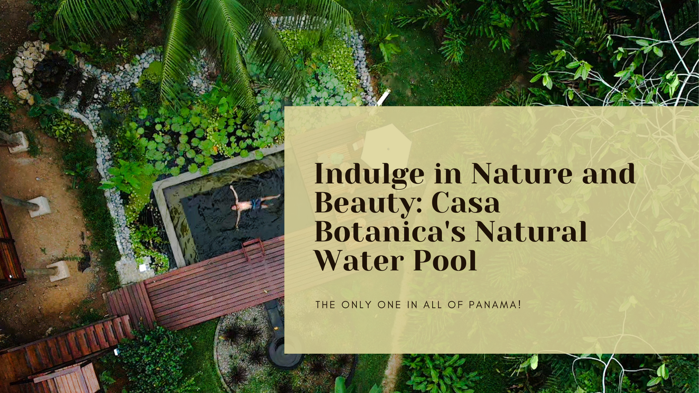 Indulge+in+Nature+and+Beauty+Casa+Botanica's+Natural+Water+Pool
