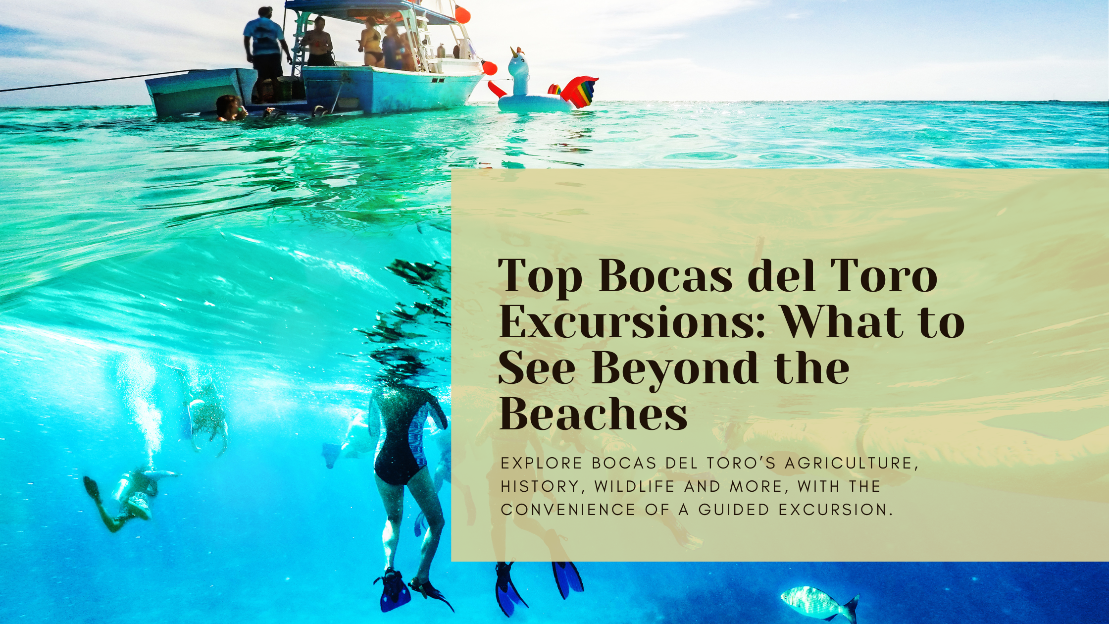 Top Bocas del Toro excursions beyond the beaches blog graphic
